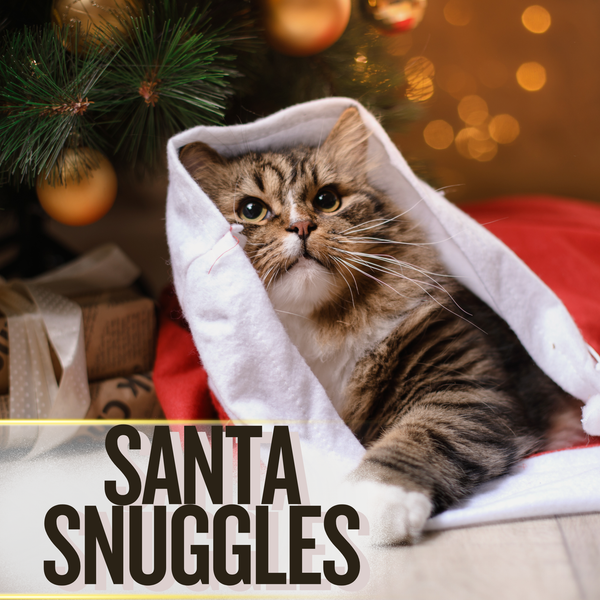 Santa Snuggles EDP